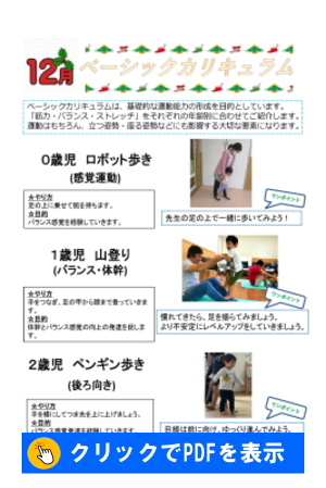 ベーシックカリキュラム